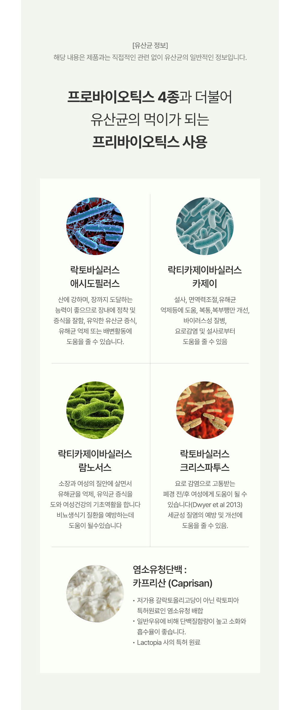 은하몰11